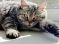 МОЩНЫЕ МАГНИТНЫЕ БУРИ ОБРУШАТСЯ НА КОСТРОМУ