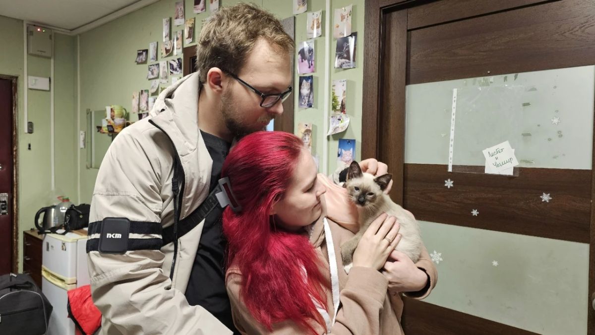КОСТРОМСКИЕ ВОЛОНТЕРЫ ВЫХОДИЛИ 270-ГРАММОВОГО КОТЕНКА И НАШЛИ ЕМУ СЕМЬЮ КОСТРОМСКИЕ ВОЛОНТЕРЫ ВЫХОДИЛИ 270-ГРАММОВОГО КОТЕНКА И НАШЛИ ЕМУ СЕМЬЮ