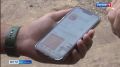 Поход в лес за грибами довел костромичку до потери денег