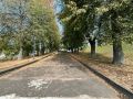 Погода в Костроме в понедельник, 28 сентября 2026 года: температура продолжит снижаться