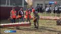 В Костромской области выбрали лучшего лесоруба