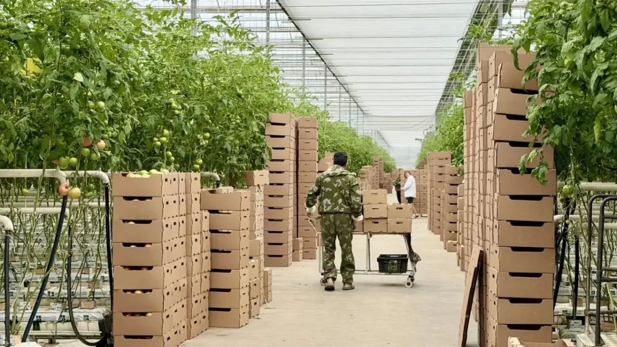 Губернатор Сергей Ситников обсудил с руководством агрокомбината «Высоковский» развитие производства Губернатор Сергей Ситников обсудил с руководством агрокомбината «Высоковский» развитие производства