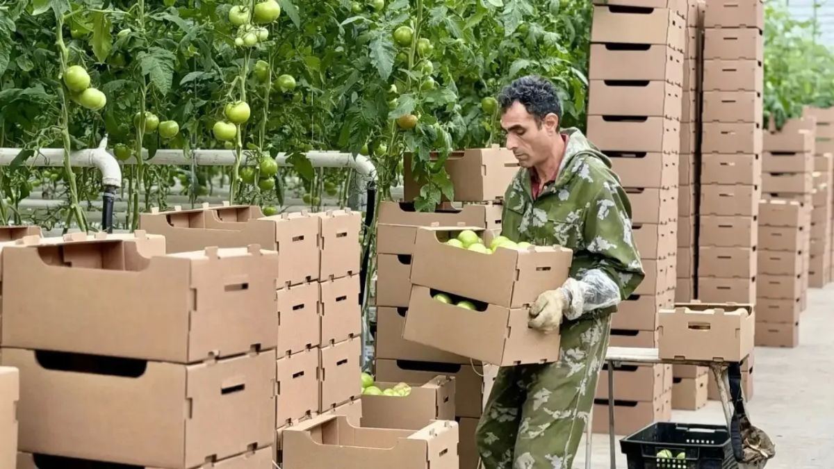 Губернатор Сергей Ситников обсудил с руководством агрокомбината «Высоковский» развитие производства Губернатор Сергей Ситников обсудил с руководством агрокомбината «Высоковский» развитие производства