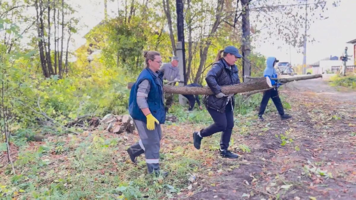 Неравнодушные буевляне взялись оживить одно из некогда популярных мест отдыха