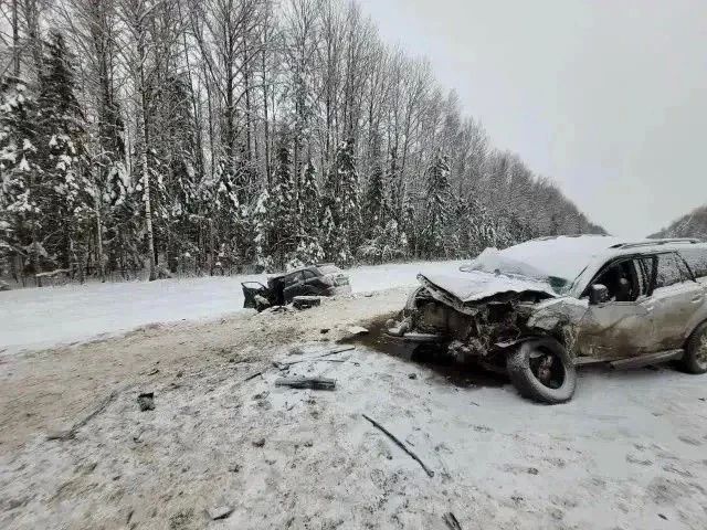МОСКВИЧА БУДУТ СУДИТЬ ЗА АВАРИЮ С ДВУМЯ ПОГИБШИМИ НА КОСТРОМСКОЙ ТРАССЕ