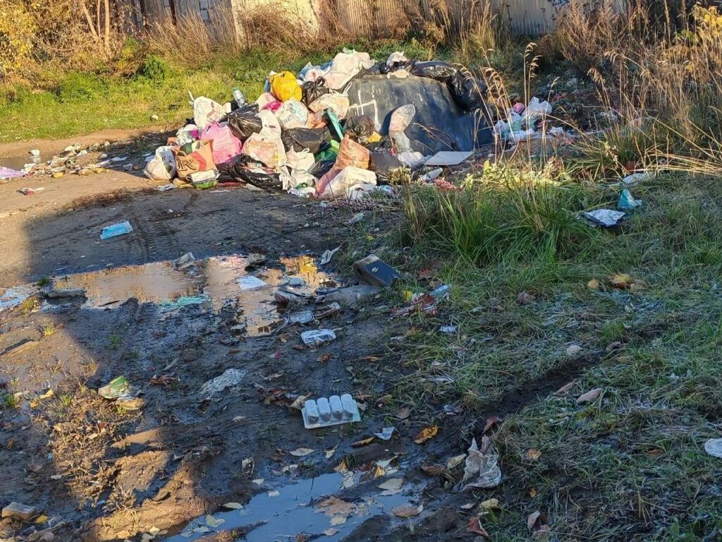 ЖИТЕЛИ КОСТРОМСКОГО МИКРОРАЙОНА БОЯТСЯ НАШЕСТВИЯ КРЫС С НЕБЛАГОУСТРОЕННОЙ ПОМОЙКИ