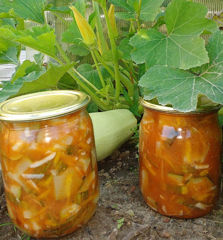 Закуска из кабачков на зиму: оригинальный рецепт для гурманов