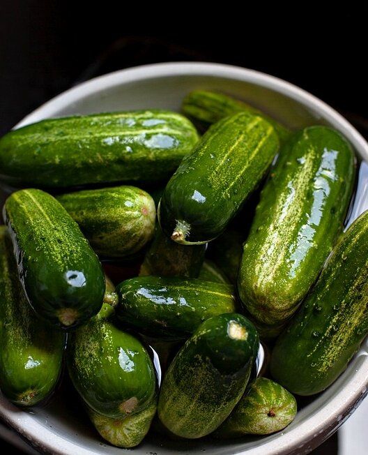 Почему старые сорта огурцов по-прежнему любимы дачниками и поварами