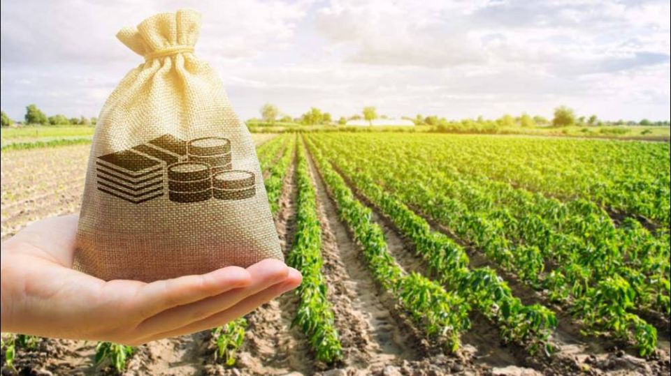 Как избежать потерь прав на земельный участок: история арендодателя и советы юристов