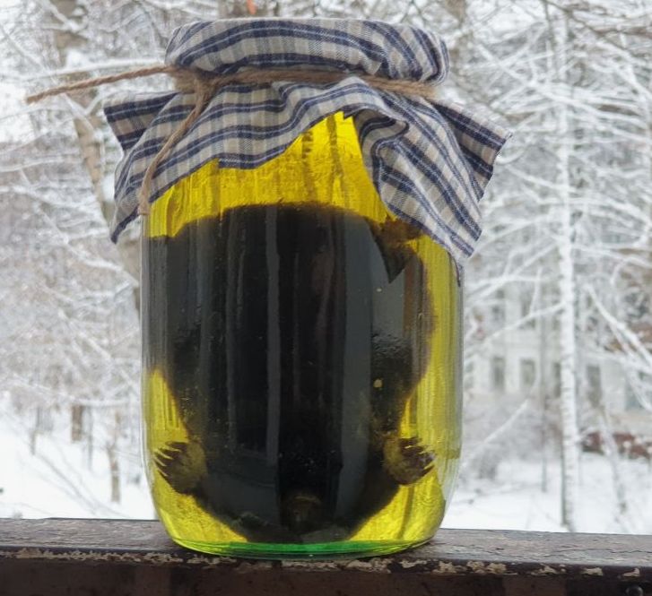 Кротовуха на Нутелле: уникальный дачный тренд, который взорвет ваши вечера