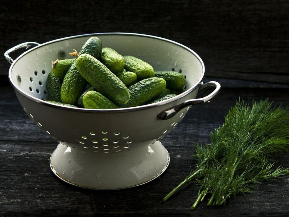 Как избежать горьких огурцов: советы от экспертов