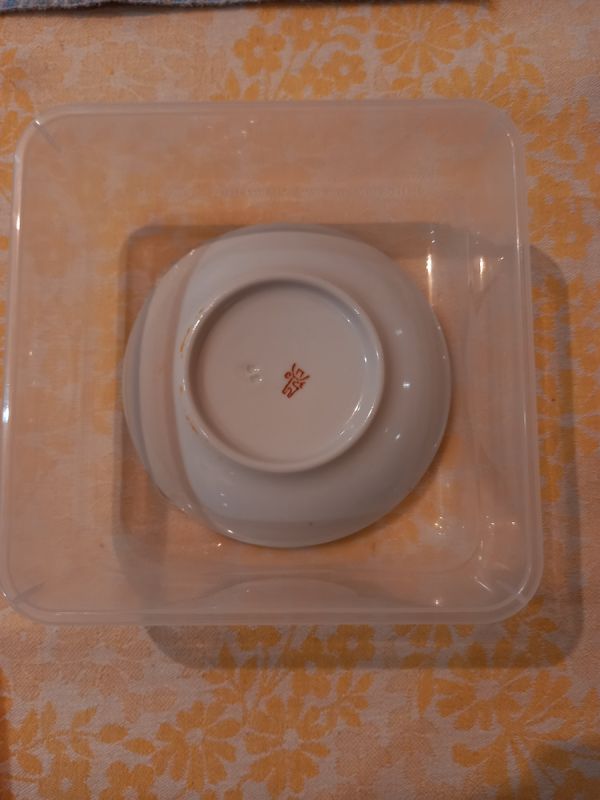 Удивительный метод проращивания семян без земли