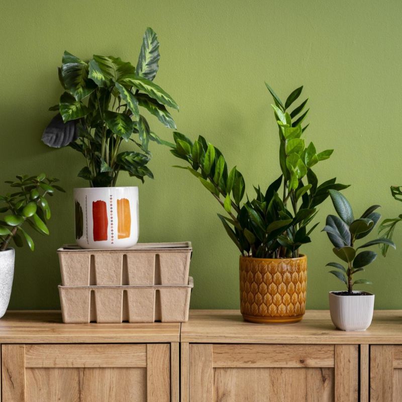 ��� ����� ��������� �������� ������� � ����� ��������