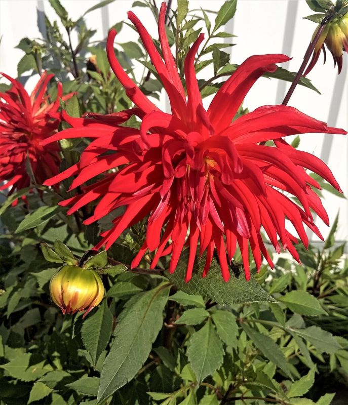 ��������: ������ ������� ���������, ������� ������ �� �������