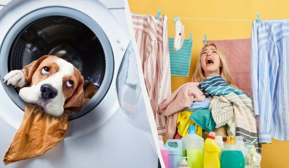 ��� ������ ������� � �������: 10 �����, ������� �� �������� ���������