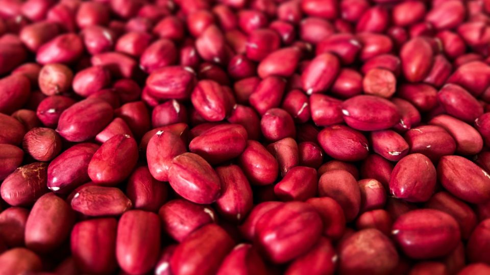 �� ���� ����� ������ ��������� ������ ����: ����� ����� ������� � ������