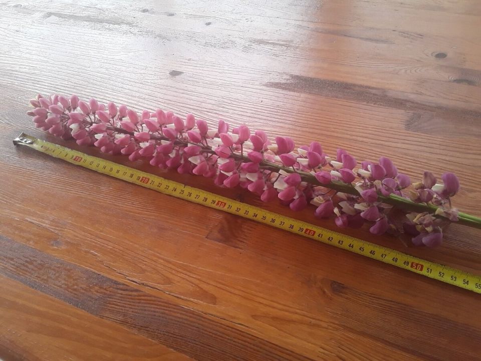 ����� ��������� �������: ��������� ������� ����� � �����������