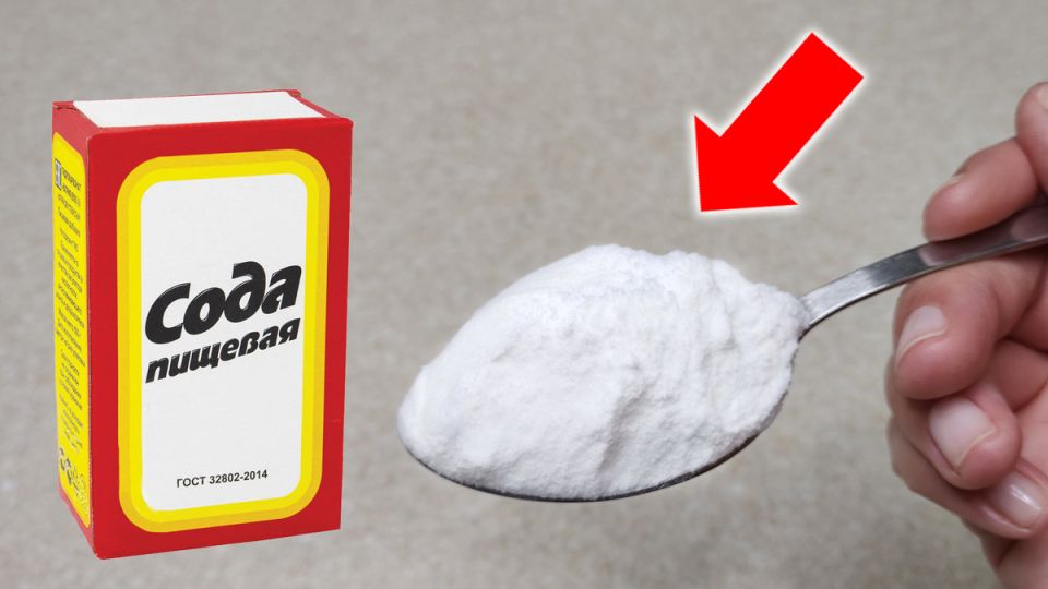 ����������� ����������� ������� ����: 8 �������� ��������� ������������ �����