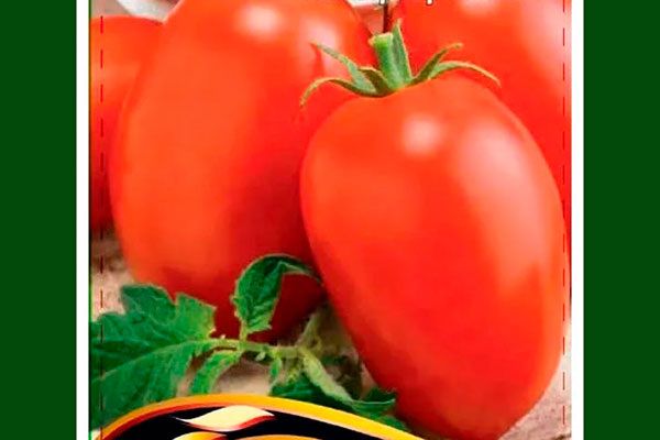 ����� �����: ��������� ����� ��� ����������� � 2025 ����