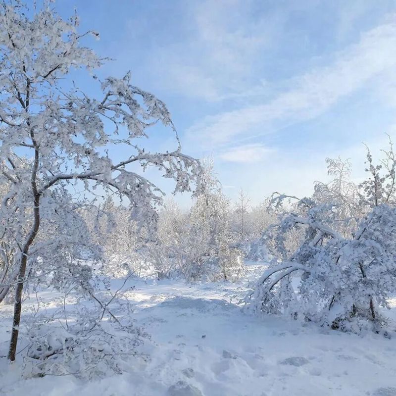 Декабрь 2025: новые законы, которые изменят повседневную жизнь