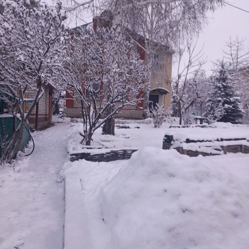 Как создать стильный и недорогой забор для дачи: практические советы