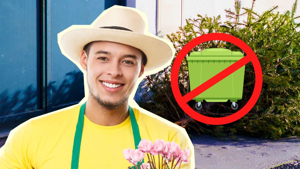 �� ������������ ���� ����� ������ ����: ��� ���������� �� ����