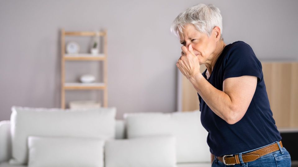 ��� ��� ����� �������� ������ ������ ���: ���� ��� �������, ���������� �������