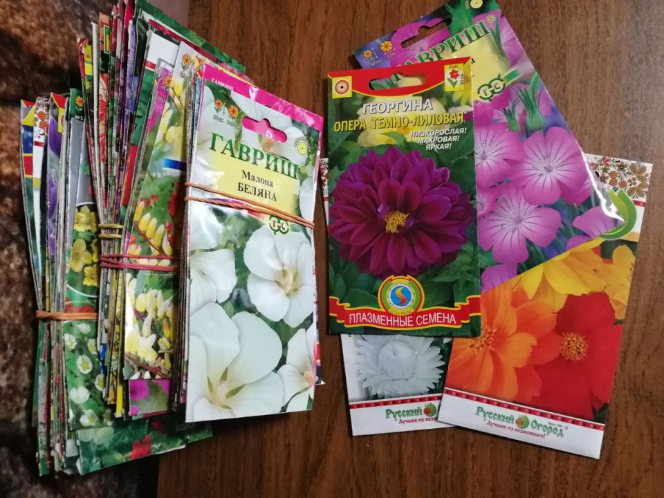 ����� ������ �� ������ ������������: ��� ����� � �������