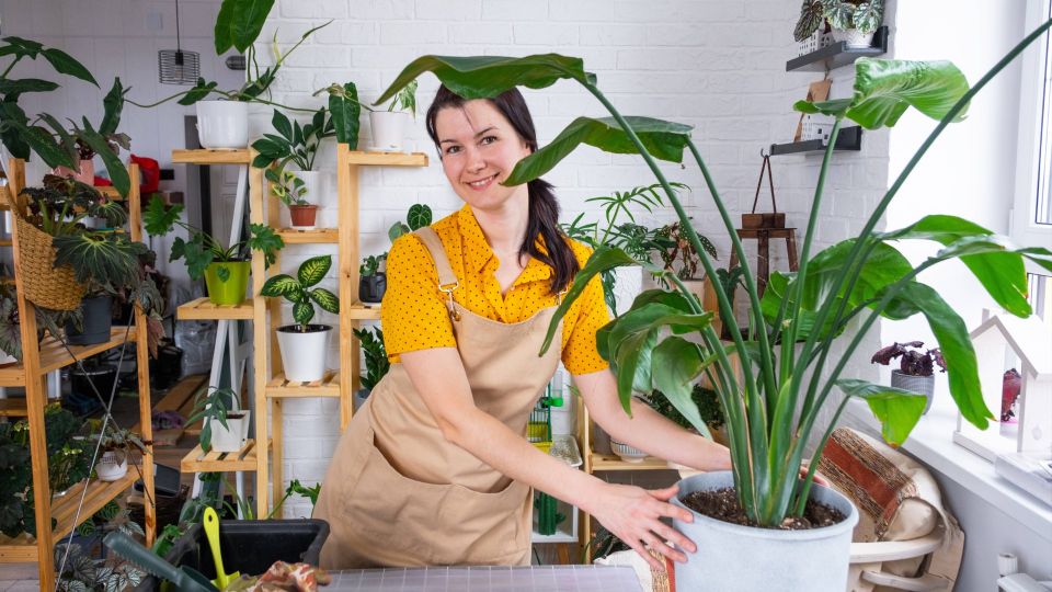 ������ ��� ������������ ��������� 99% ������: ��������� ���������� �����������