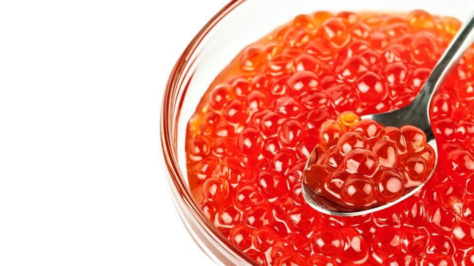 � ��� ��� ������� ��������: ������� ������ �������� �������� ���� � ������ ����