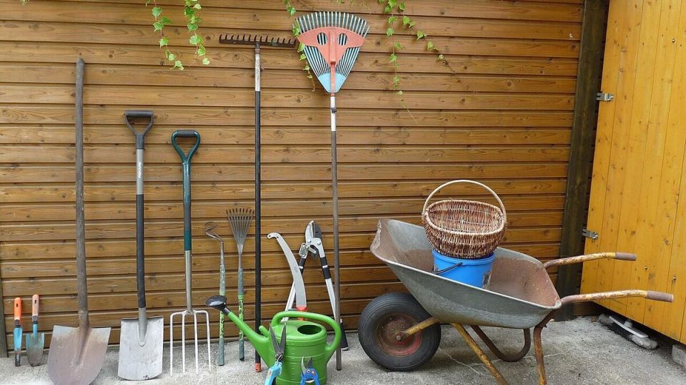 ��� ������� ��������� ����� ��� ����