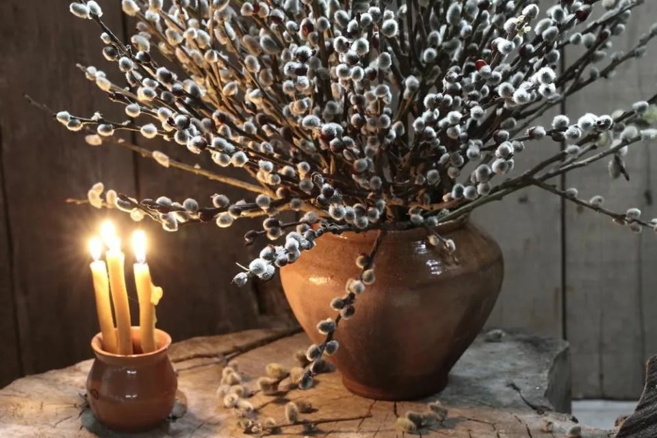 ������� �����������: ���������� � �������� � �������������� ��������� �����