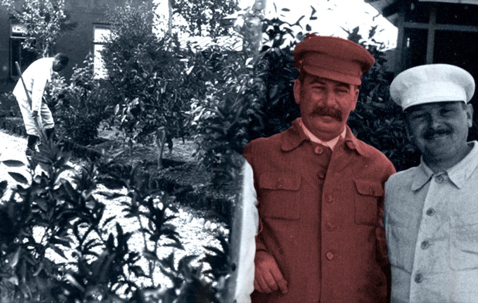 ��� ������ ����������������� � �������� ���������� �� ����� �����