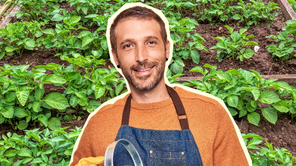 �������� ���������� ������ ���������: ��� ��� ����� �������� � ���� � �����