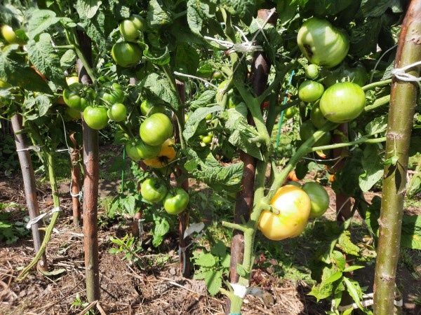 ������-�����: ������� ��������� ������ ��� ������ ������