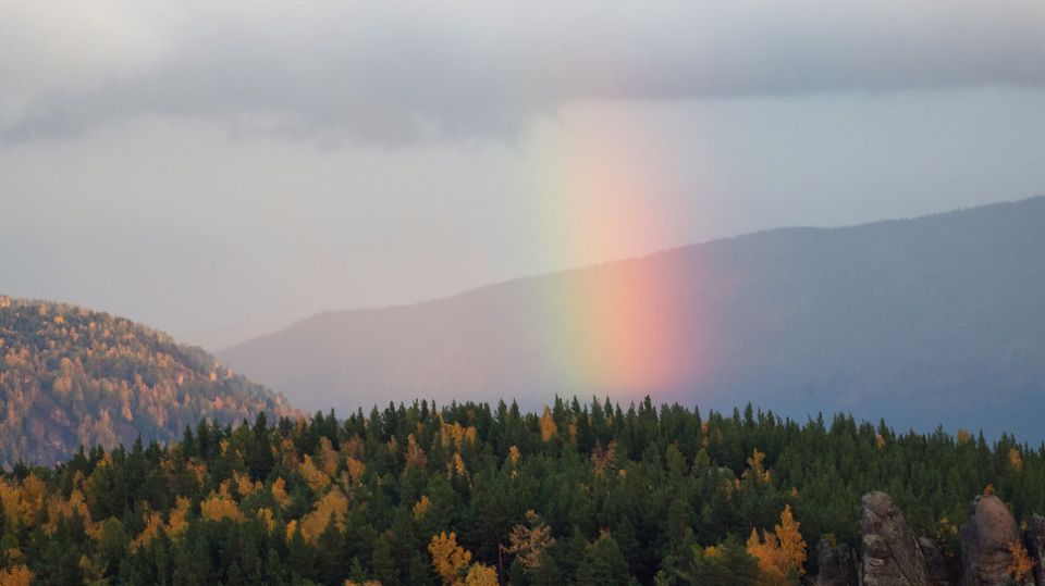 ���������� �������� �������� ���������: ��� ������������� ��������� ������ ������