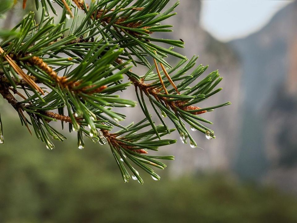 ������ �� ����: ��������� ���������� ��� ������� ������ ��������