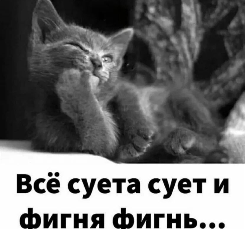 Сладкие заготовки: как сохранить вкус лета на зиму