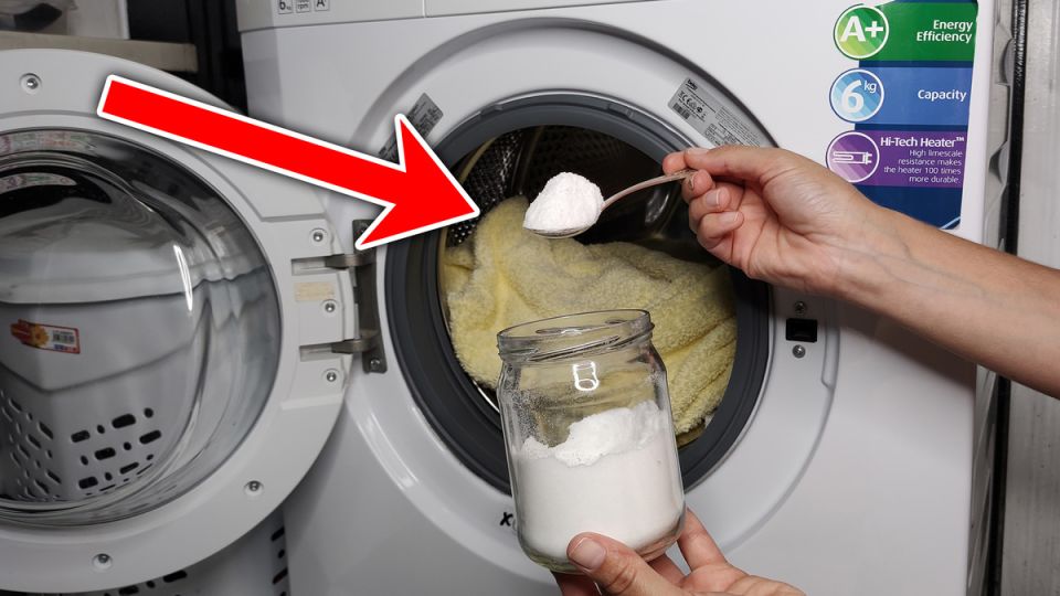 ��� ��������� ����� ������ ��� ������������: ������� ����������� �����