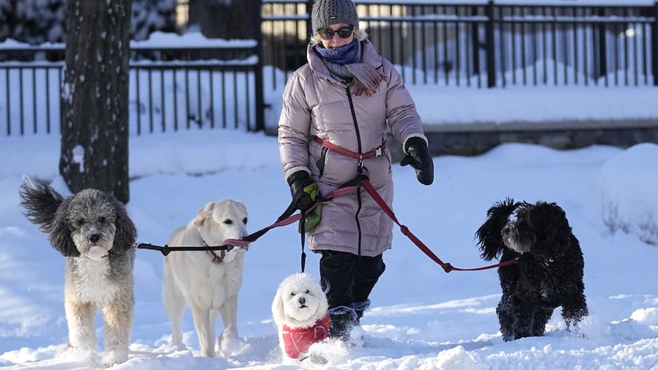 ���������� ���� �� ��������: ��� ����� �������� ������� � 2026 ����