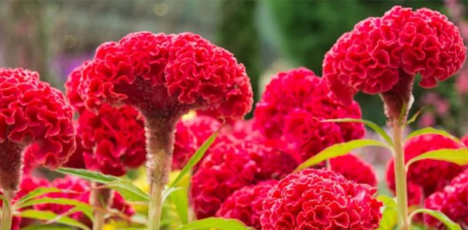 ������� �������� � ����: ��� ��� ���������� ������� � ����� ����������