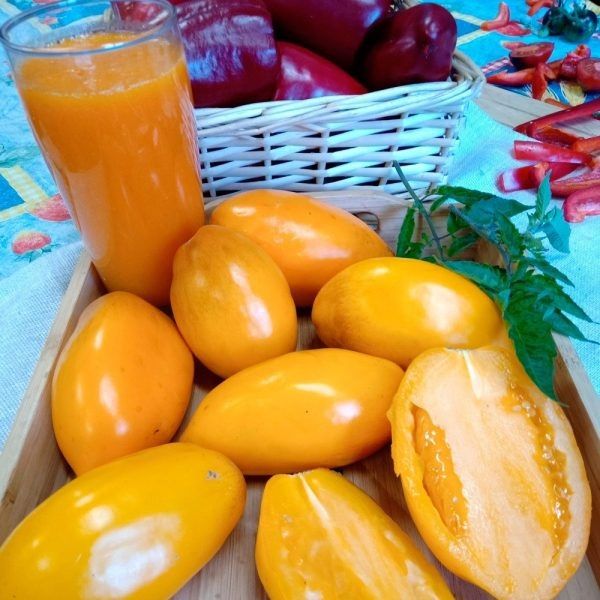 ����� �����: ��������� ����� ��� ����������������� �����������