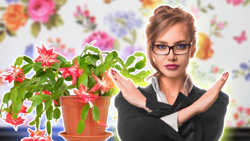 ��� ��������� ������ ����� �������� ���������: ��������� ���� ������� ��������