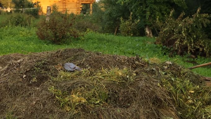 Быстрый компост из сорняков: 12 недель без дополнительных затрат на химические препараты