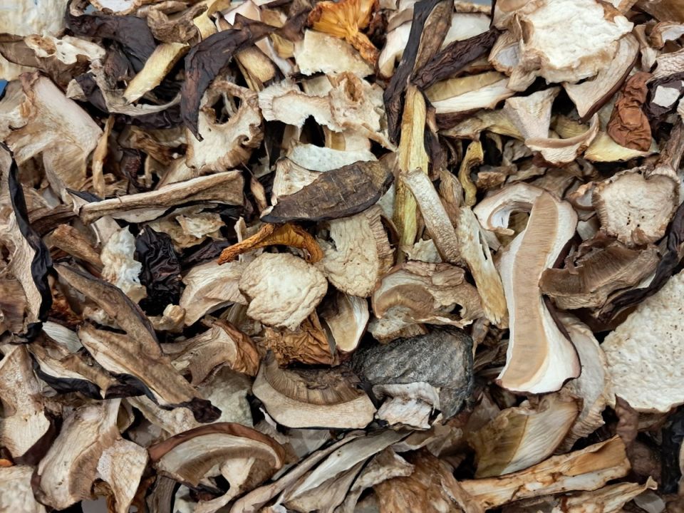 Грибное изобилие: как правильно сушить и хранить собранные грибы