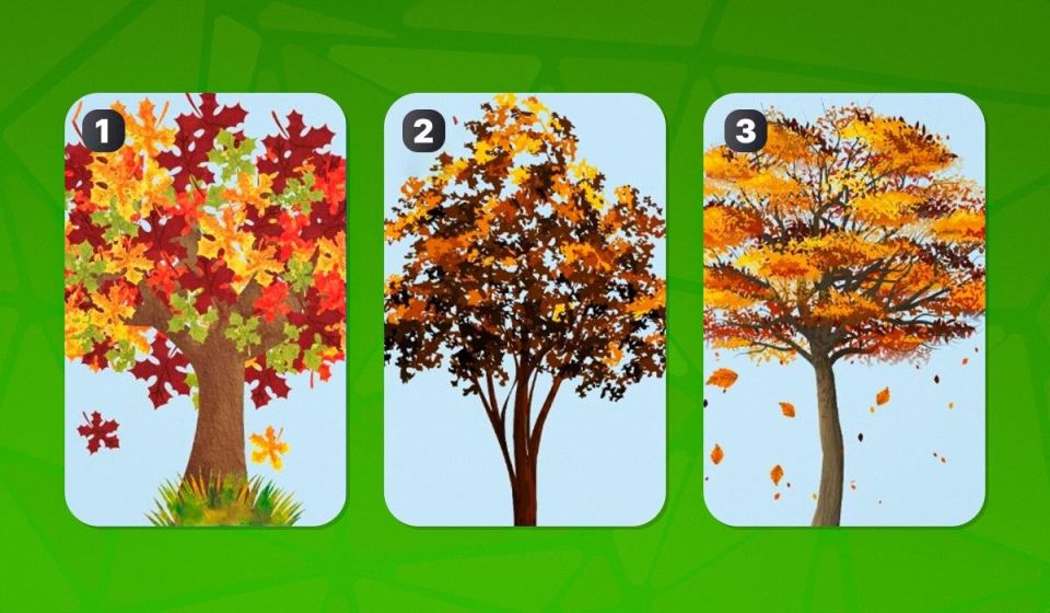 ��� ��� �������� ������ �� ������: �������� ���� � �������