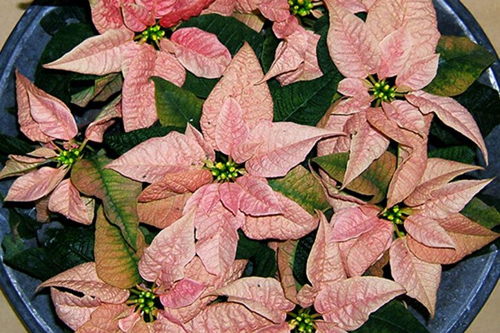 �������������� ������: ��� ��������� �� ����������� � ��������� �� ������ �����