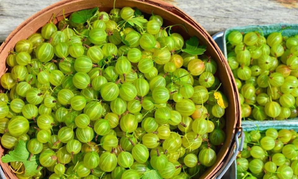 ���� ��� ���������: ������ �� ����� �� ��������