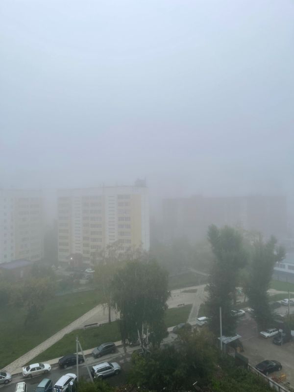 ��� ����-����� �������� ����: ������ � ��������� ����� �� ������