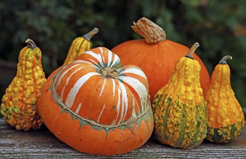 ������� �������� ����� ����� ��� ������������ �����